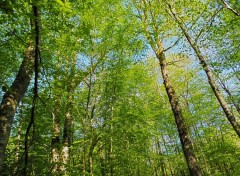  Nature Fort de Cteaux