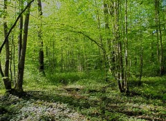  Nature Fort de Cteaux