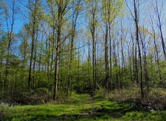  Nature Fort de Cteaux