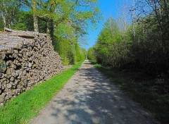  Nature Fort de Cteaux