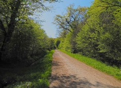  Nature Fort de Cteaux