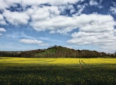  Nature Paysage de l'Auxois avec champ de colza en fleur