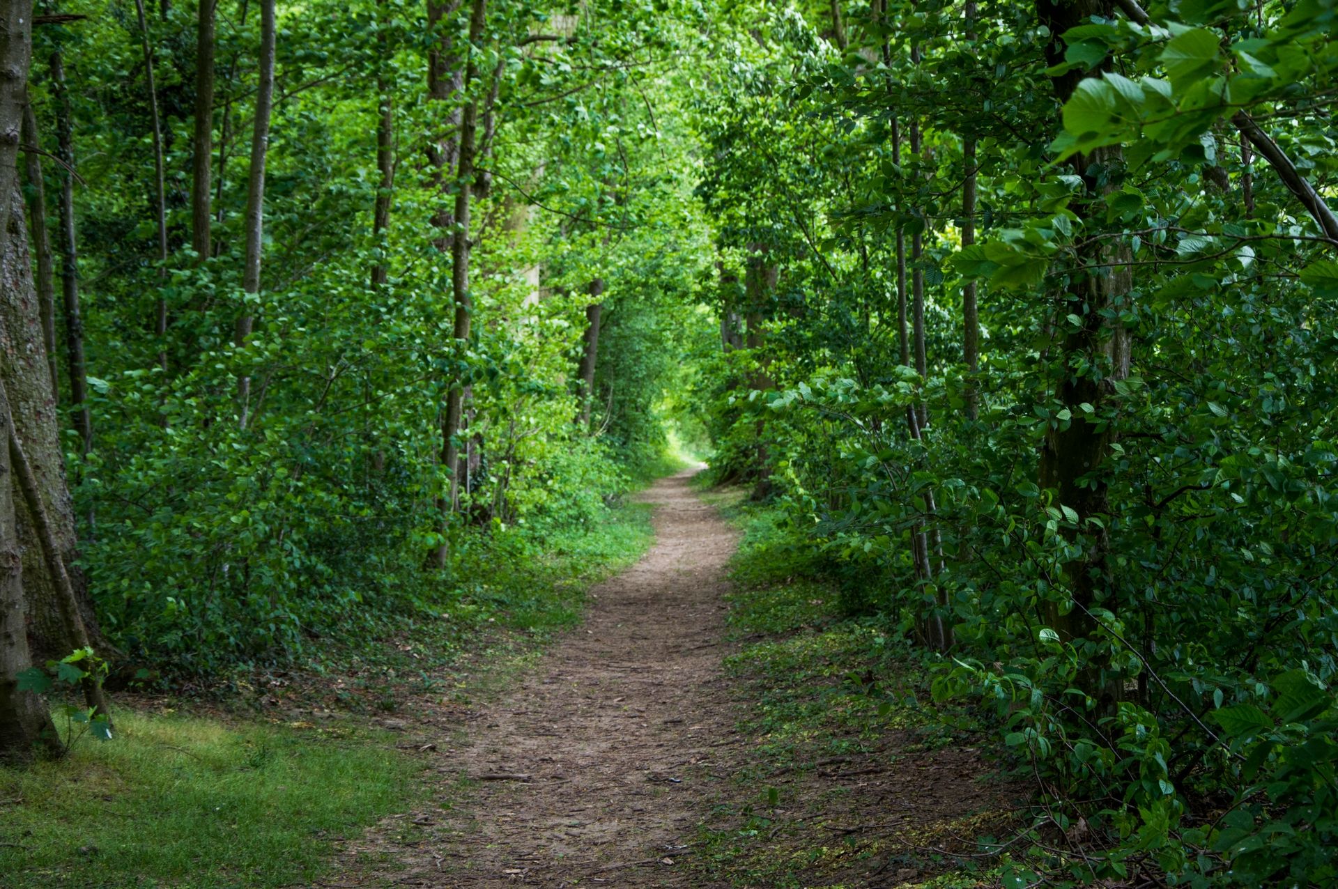 Fonds d'cran Nature Chemins 