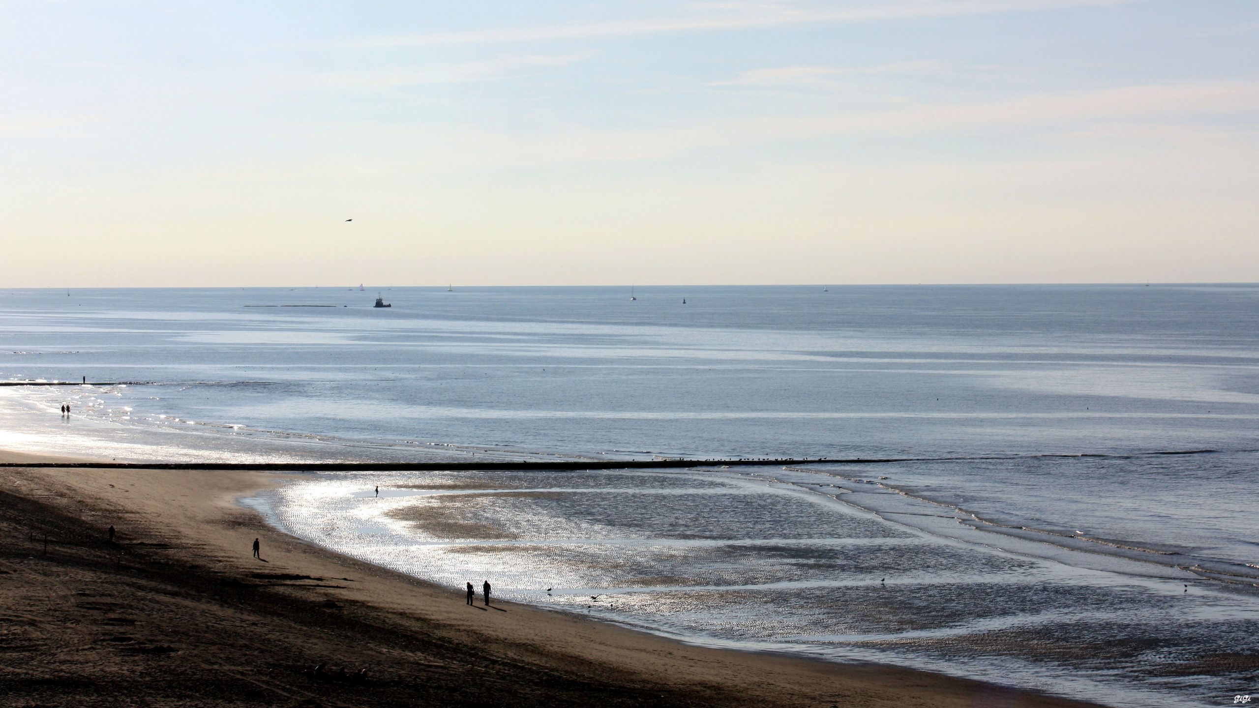 Wallpapers Nature Seas - Oceans - Beaches Mer du Nord (Belgique)