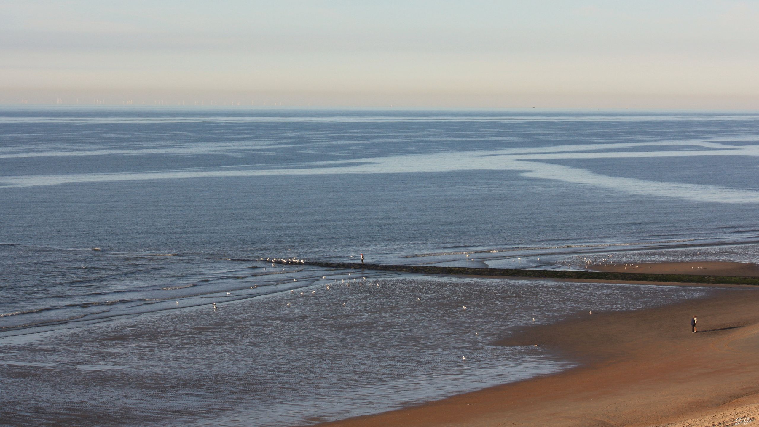 Fonds d'cran Nature Mers - Ocans - Plages Mer du Nord (Belgique)