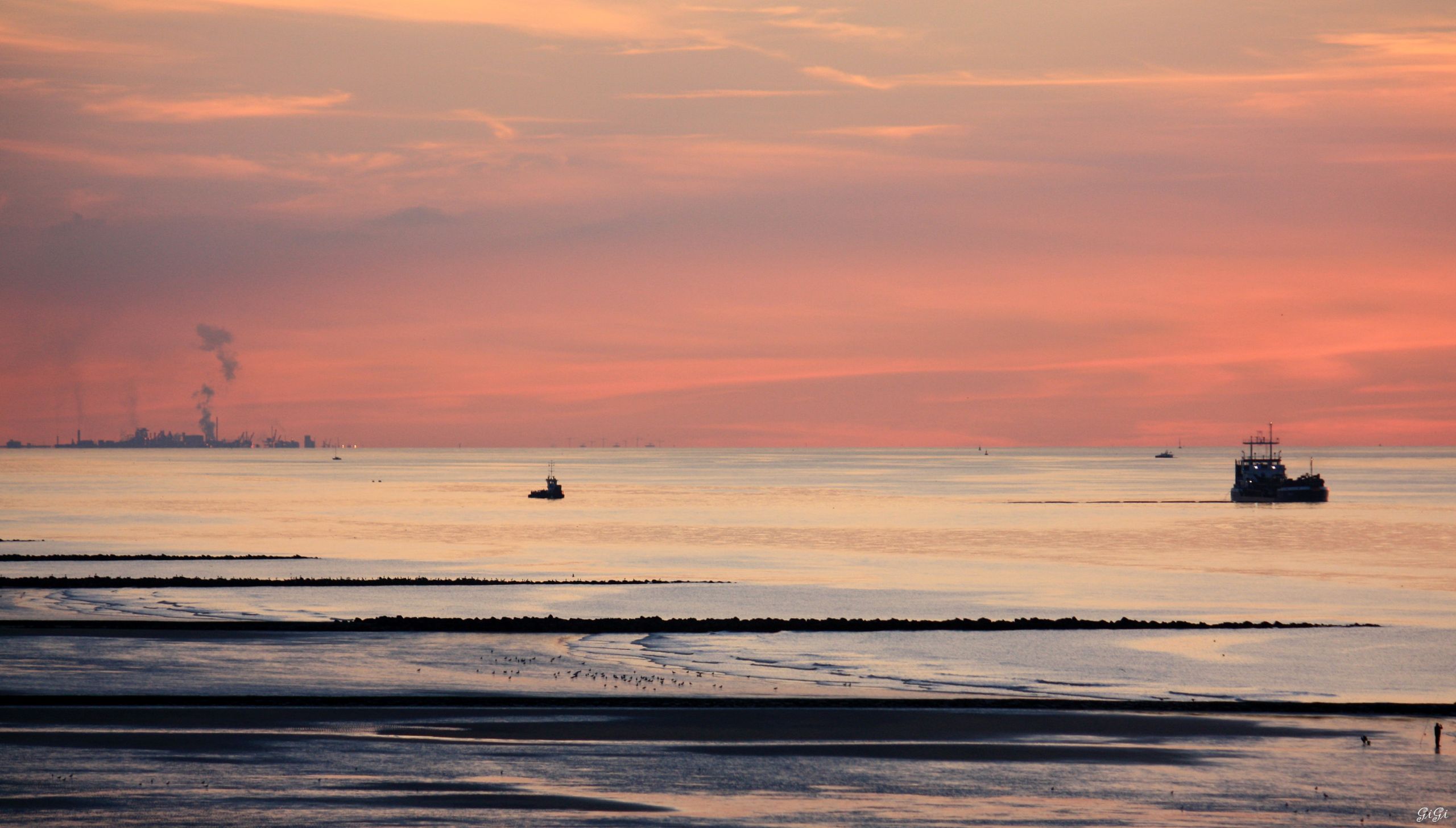 Fonds d'cran Nature Mers - Ocans - Plages Mer du Nord (Belgique)