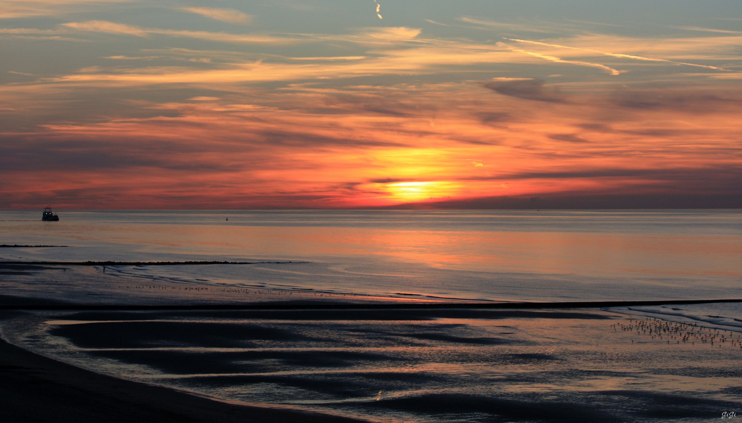 Fonds d'cran Nature Mers - Ocans - Plages Mer du Nord (Belgique)