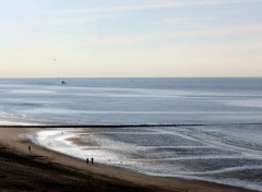  Nature Mer du Nord (Belgique)