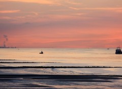  Nature Mer du Nord (Belgique)