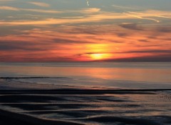  Nature Mer du Nord (Belgique)