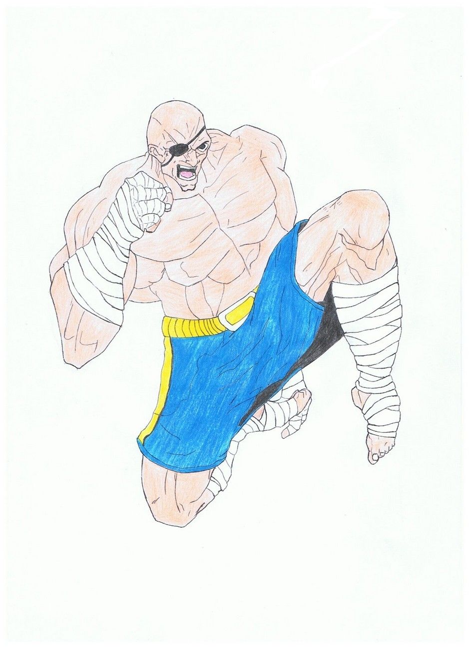 Wallpapers Video Games Street Fighter Street Fighter : Sagat