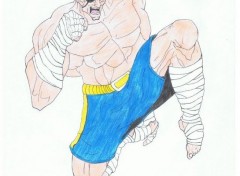  Video Games Street Fighter : Sagat