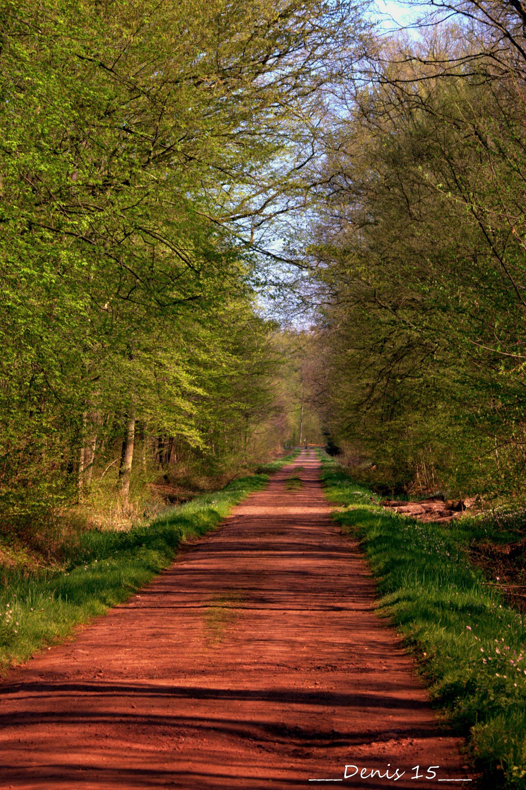 Fonds d'cran Nature Chemins ST AMAND LES EAUX