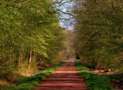  Nature ST AMAND LES EAUX