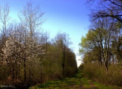  Nature ST AMAND LES EAUX