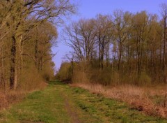  Nature ST AMAND LES EAUX