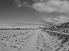  Nature Fort-Mahon Plage