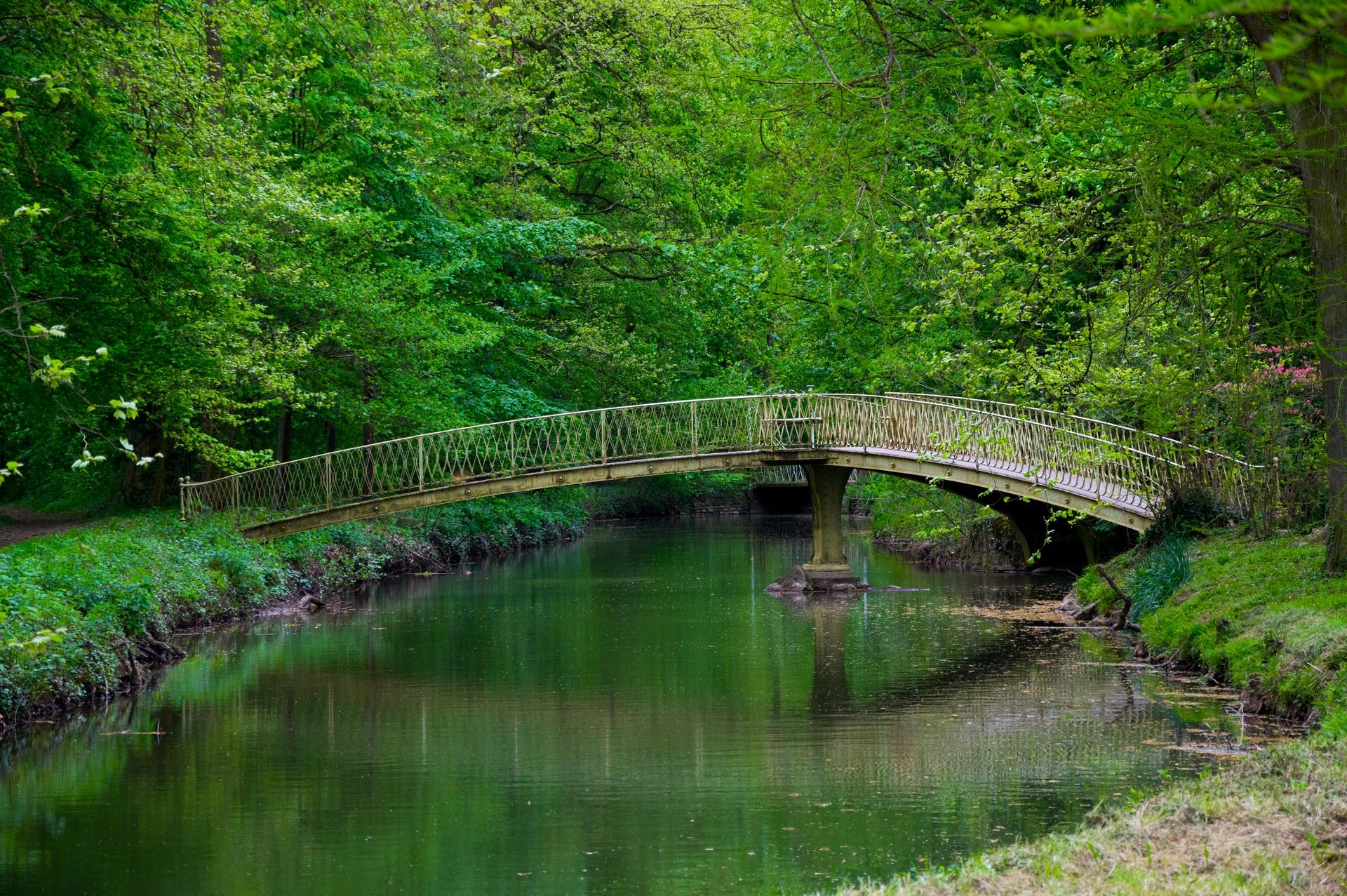 Fonds d'cran Nature Arbres - Forts 