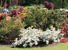  Nature Floralia Brussels au Chteau de Grand Bigard (2014)