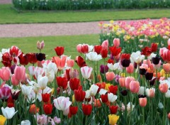  Nature Floralia Brussels au Chteau de Grand Bigard (2014)