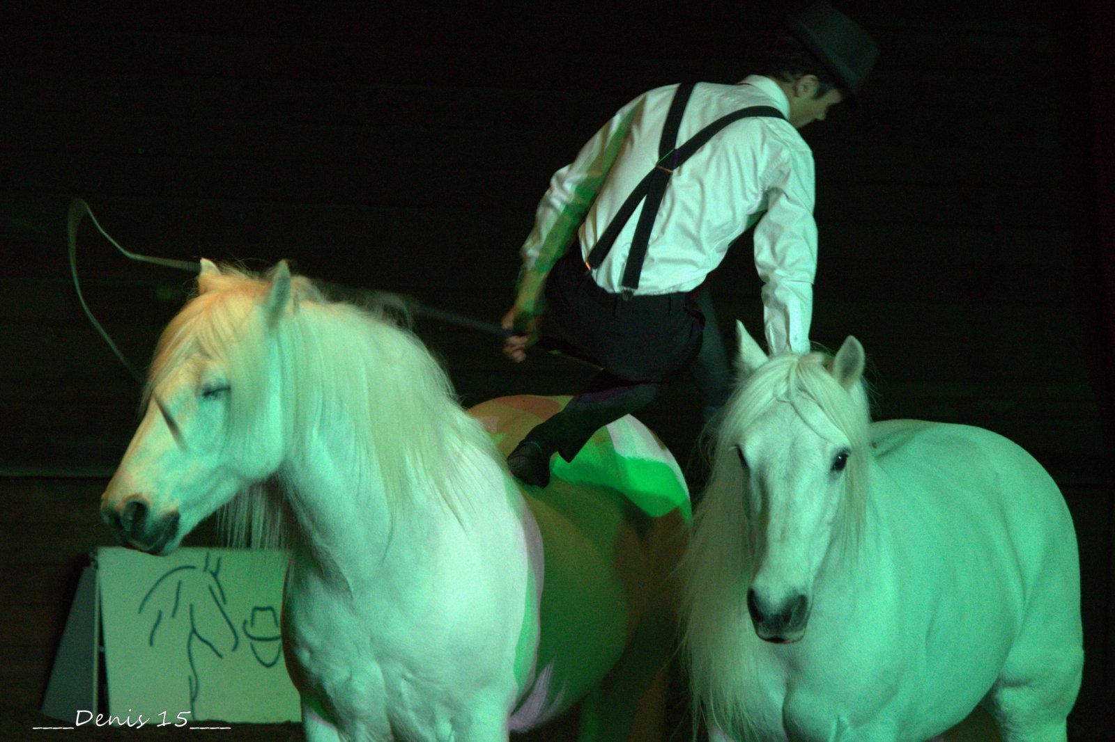 Fonds d'cran Animaux Chevaux LE THEATRE EQUESTRE