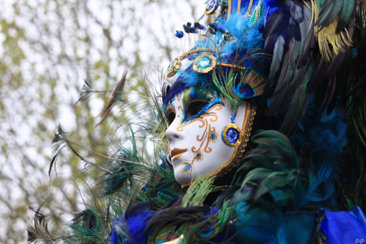 Fonds d'cran Hommes - Evnements Carnavals - Costumes Costums des Jardins d'Annevoie (2015)