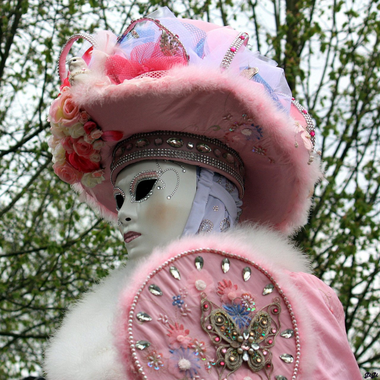 Fonds d'cran Hommes - Evnements Carnavals - Costumes Annevoie : son chteau, ses jardins, ses costums (2015)