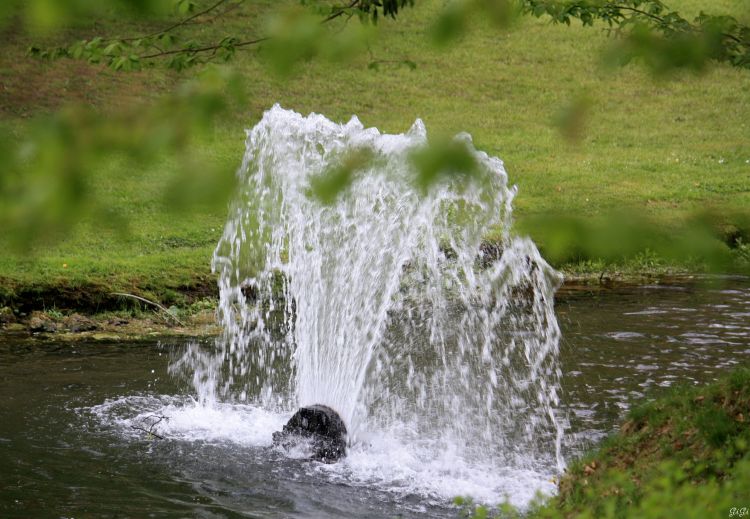 Wallpapers Nature Water Annevoie : son chteau, ses jardins, ses costums (2015)