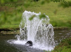  Nature Annevoie : son chteau, ses jardins, ses costums (2015)