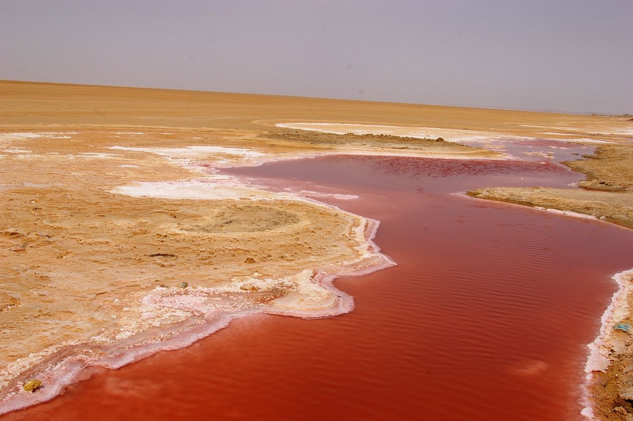 Fonds d'cran Nature Lacs - Etangs lac salé tunisie