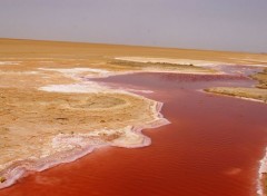  Nature lac salé tunisie