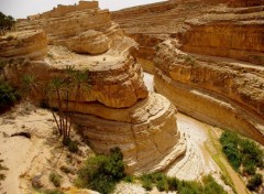  Nature sud tunisien