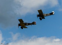  Avions Meeting de Cerny la Ferté-ALais