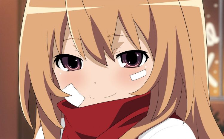 Fonds d'cran Manga Toradora! Taiga Aisaka