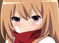  Manga Taiga Aisaka