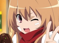  Manga Taiga Aisaka