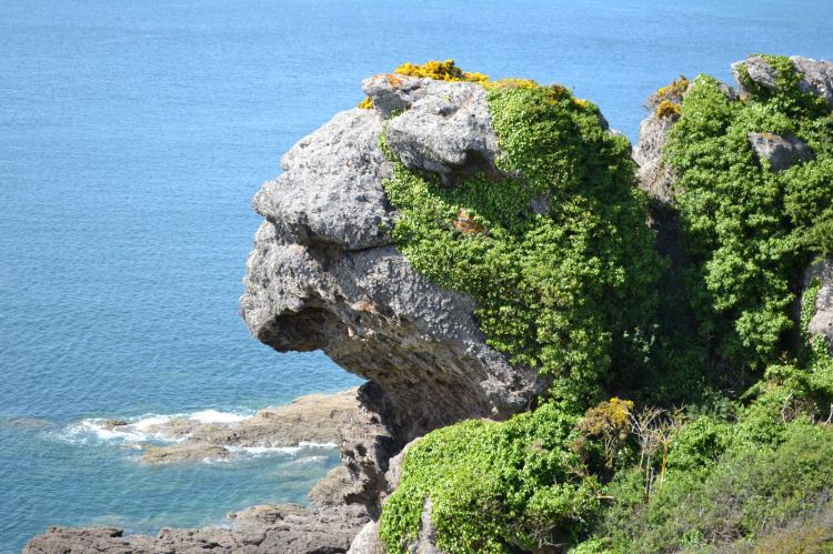 Fonds d'cran Nature Roches - Pierres - Sables Nature morte