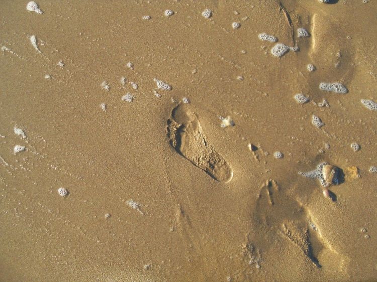 Fonds d'cran Nature Mers - Ocans - Plages Quelques pas...