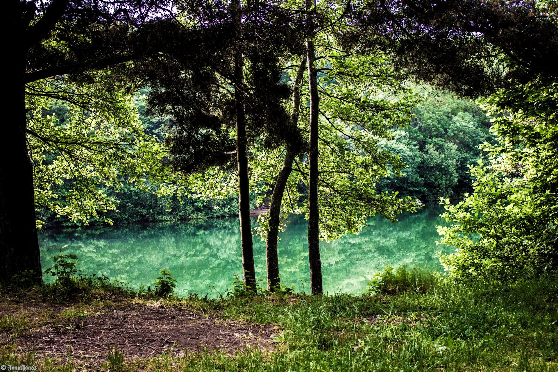 Fonds d'cran Nature Arbres - Forts 