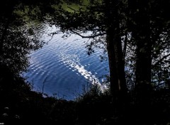  Nature Lac d'Aydat (63).