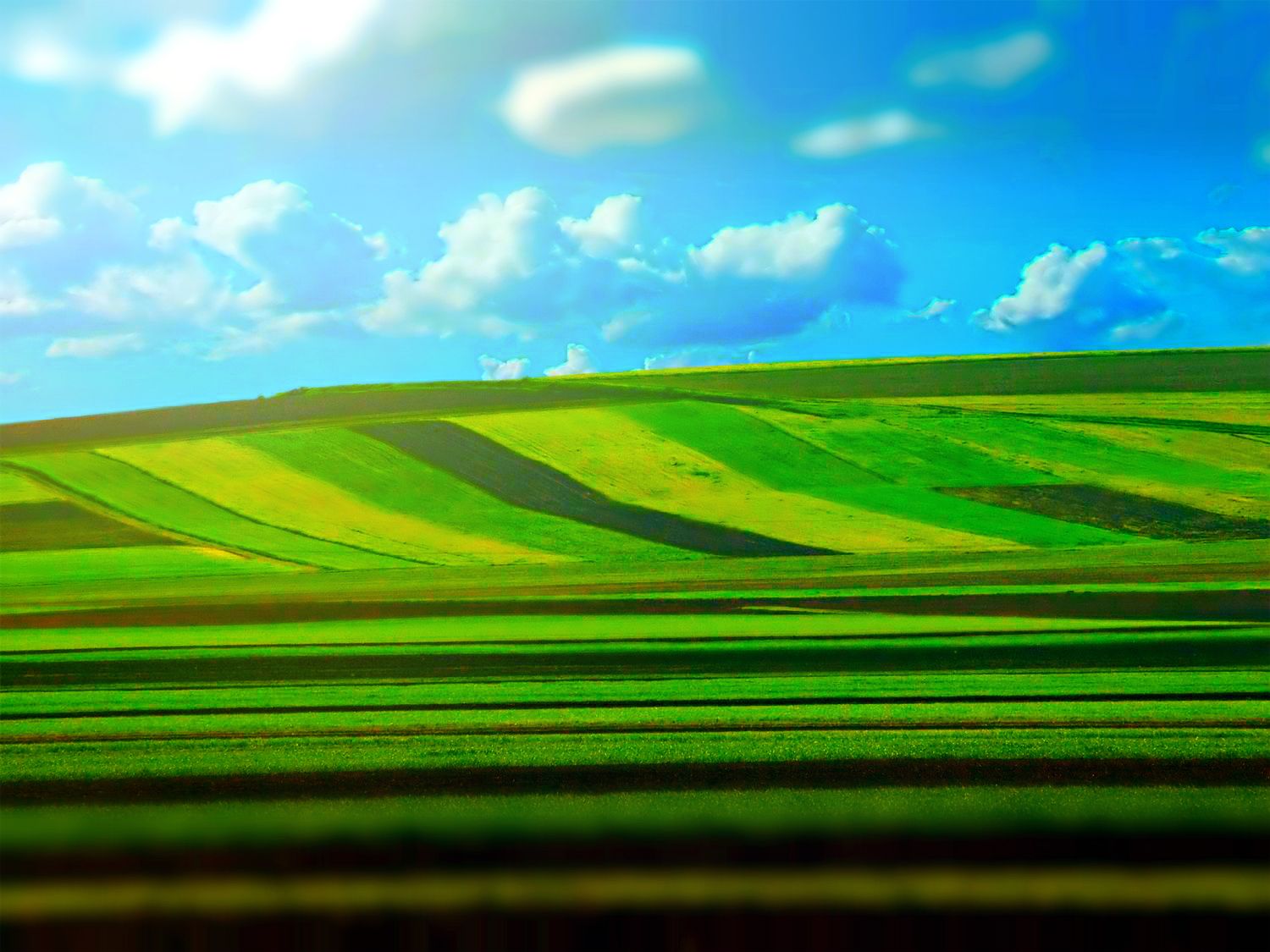 Wallpapers Nature Fields Champ vert