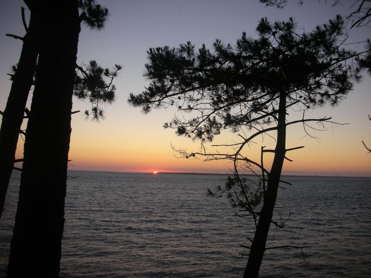 Fonds d'cran Nature Mers - Ocans - Plages Rêverie