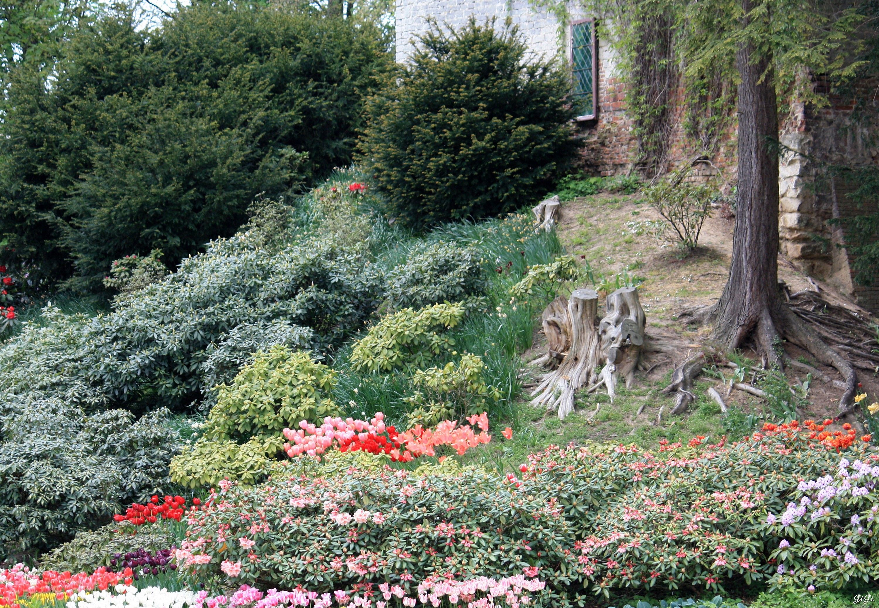 Fonds d'cran Nature Parcs - Jardins Chteau de Grand Bigard et ses floralies 2014