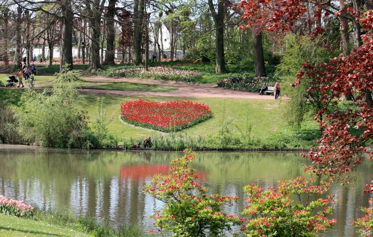 Fonds d'cran Nature Parcs - Jardins Chteau de Grand Bigard et ses floralies 2014