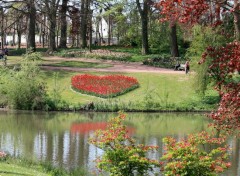  Nature Chteau de Grand Bigard et ses floralies 2014