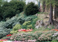  Nature Chteau de Grand Bigard et ses floralies 2014