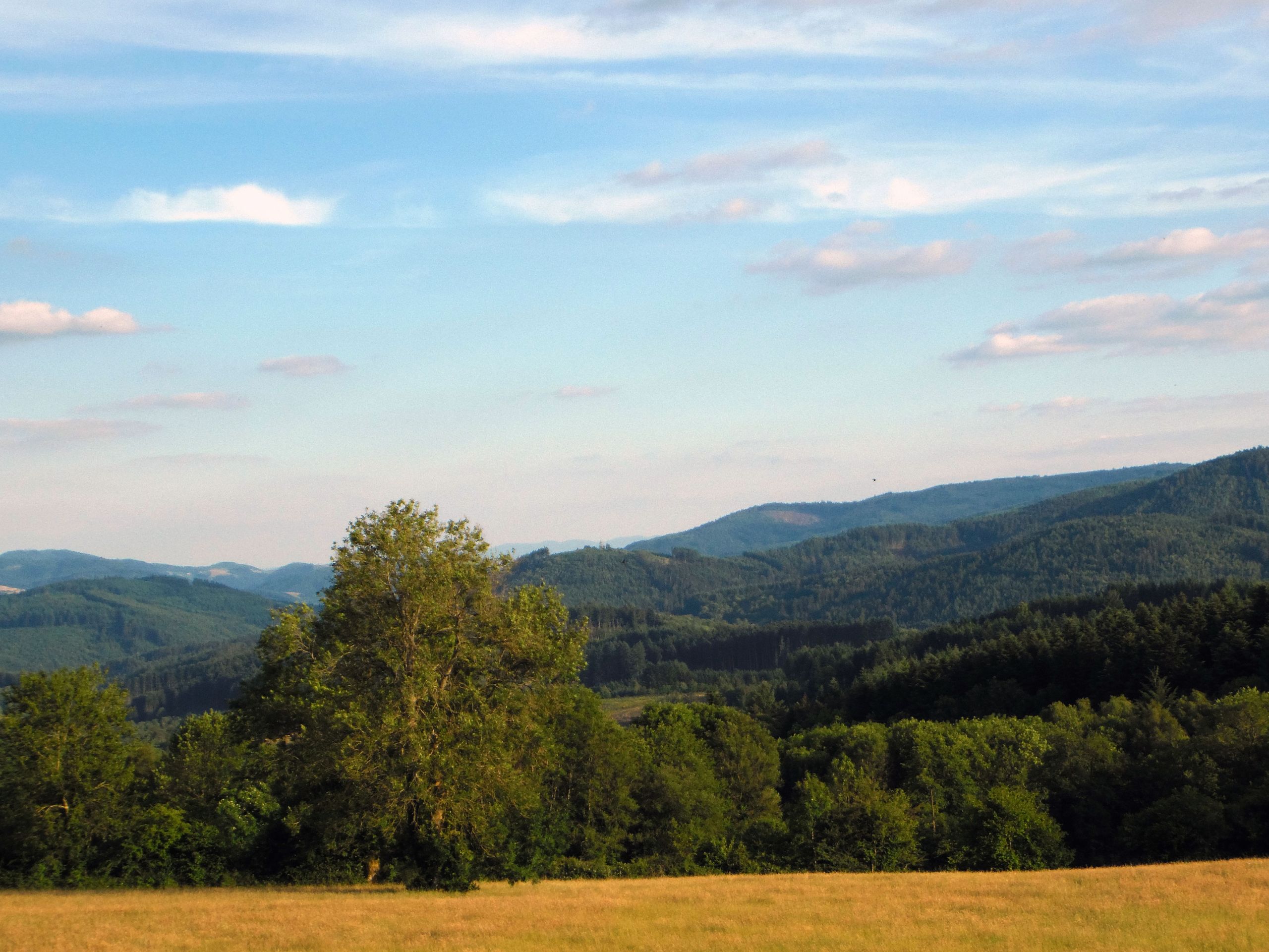 Fonds d'cran Nature Paysages Paysage du Beaujolais