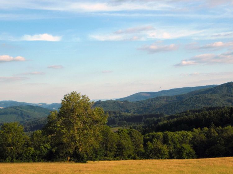 Wallpapers Nature Landscapes Paysage du Beaujolais