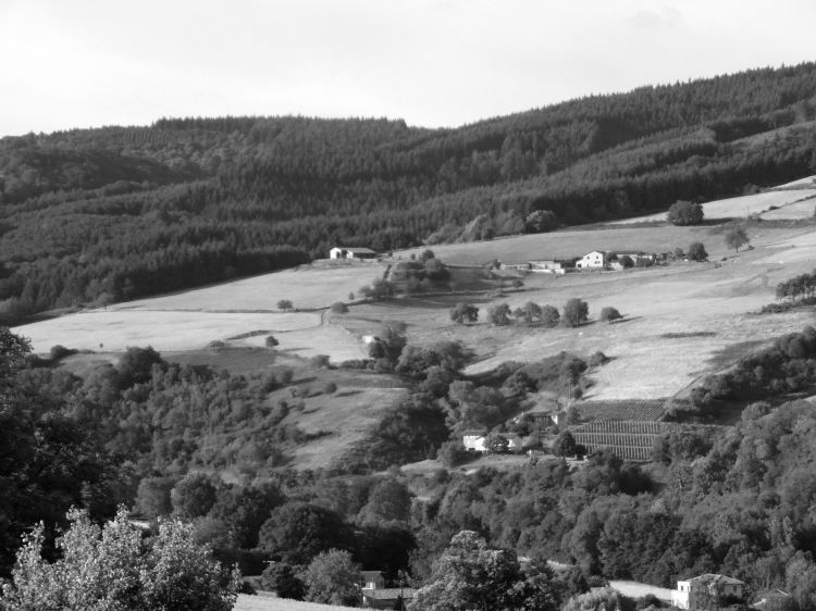 Fonds d'cran Nature Paysages Dans le Beaujolais