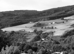  Nature Dans le Beaujolais